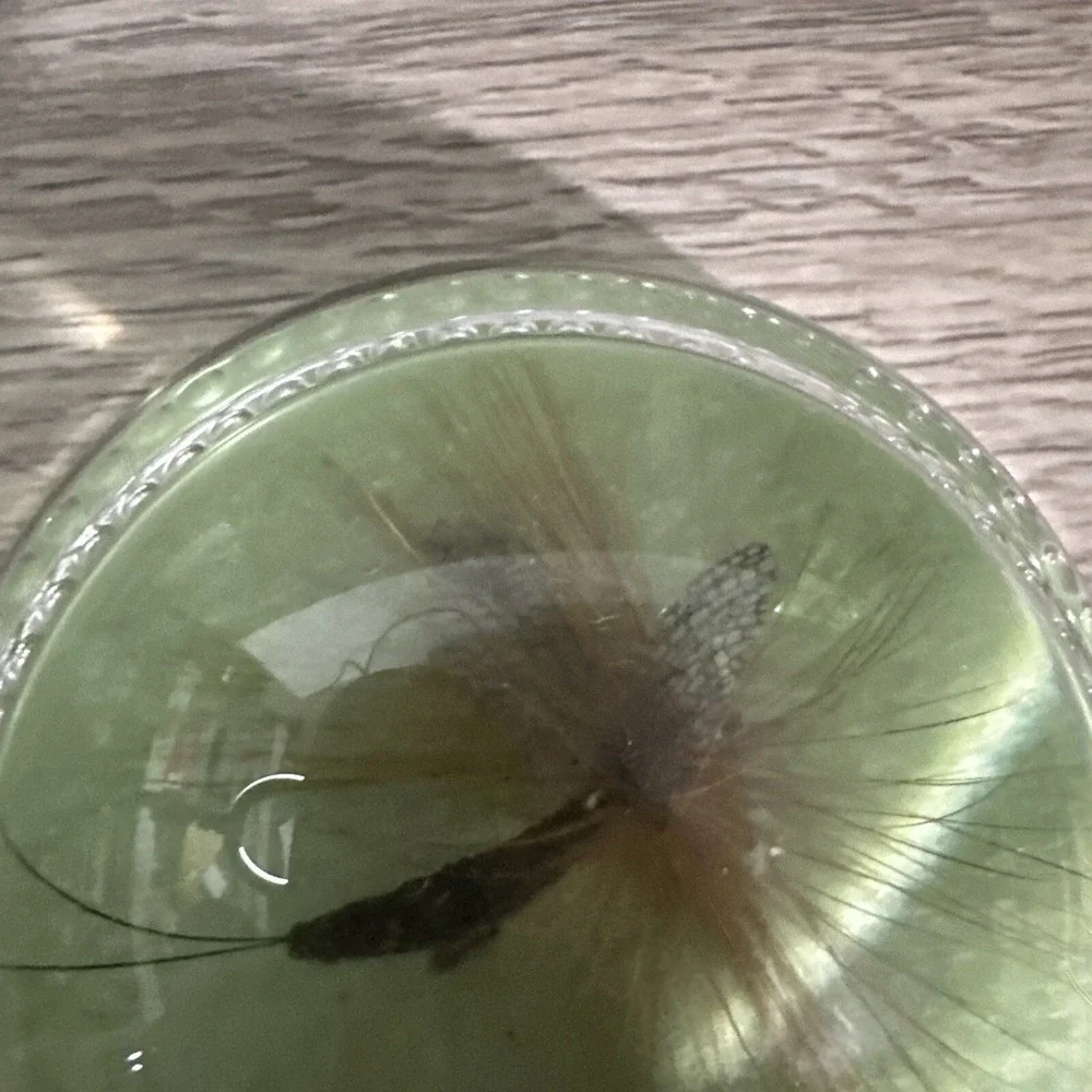 Unbranded Paperweight Unisex OS Green Excellent Fly Fishing Lure Resin Dome
